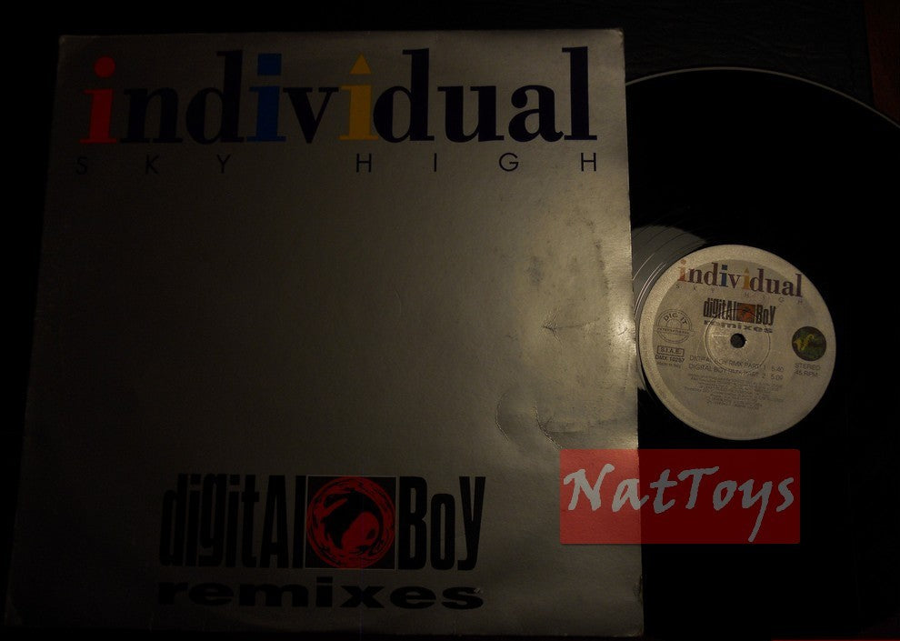 12" 33 GIRI Digital Boy INDIVIDUAL SKY HIGH - DIGITAL BOY REMIXES 1994 - VG/VG