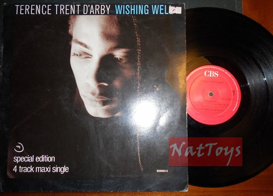 12" 33 GIRI Terence Trent D'Arby WISHING WELL (Holland 1987, CBS 650923 1) EX/EX