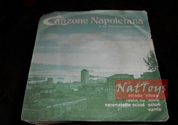 7" 45 RPM Neapolitan song n. 24 (Italy 1971, FRATELLI FABBRI) - EX/EX