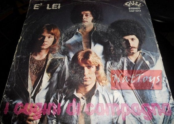 7" 45 GIRI I Cugini di Campagna E' LEI/LOVE ME SWEETHEART (Italy 1976) - VG/EX