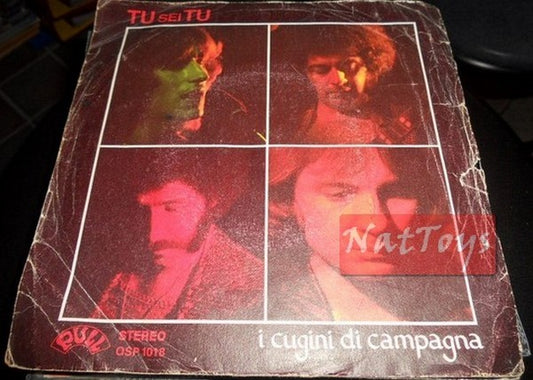 7" 45 GIRI I Cugini di Campagna TU SEI TU/DONNA (Italy 1977 PULL QSP 1018) VG/VG