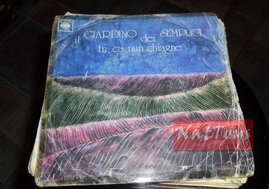 7" 45 RPM Il Giardino dei Semplici TU, CA NUN CHIAGNE/UNA STORIA 1975 - VG/VG