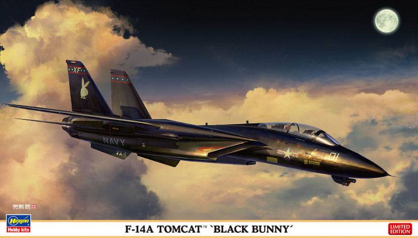 SCALE ASSEMBLY KIT COMPATIBLE WITH F-14A TOMCAT BLACK BUNNY KIT 1:72 HASEGAWA HA02377