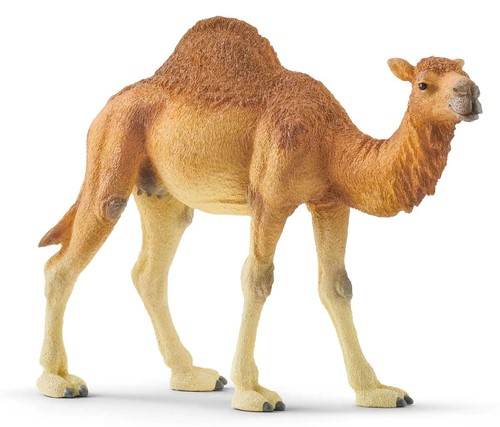 SCALE MODEL COMPATIBLE WITH SCHLEICH DROMEDARY SCH14832 3D MODEL FIGURES