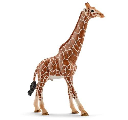 SCALE MODEL COMPATIBLE WITH MALE GIRAFFE
 SCHLEICH SCH14749 DIE CAST