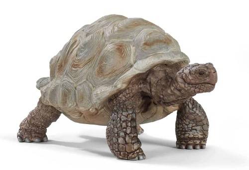 SCALE MODEL COMPATIBLE WITH GIANT TURTLE 3D FIGURES
 SCHLEICH SCH14824 3D FIGURES